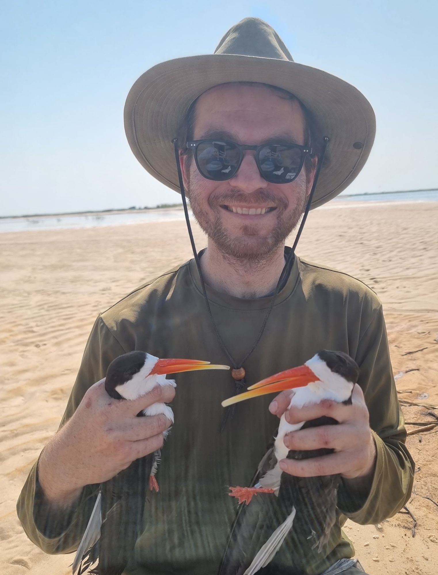 Dr Jonah Gula holding two African Skimmers on a sandbank