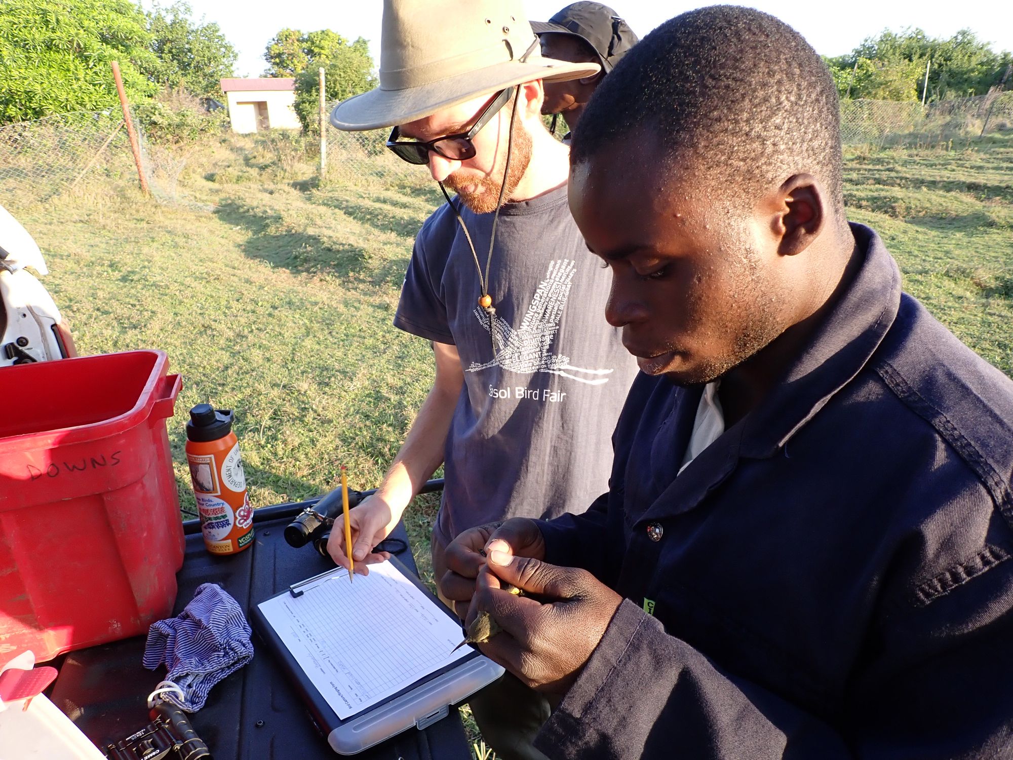 Ringers recording data at a field station