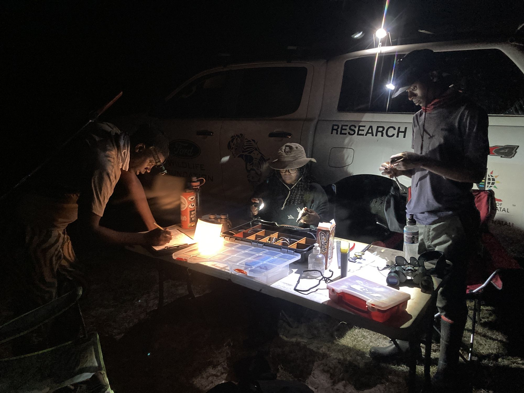 Amukena Mungole, Dr Nasiphi Bitani, and Siboniso Magoso ringing waterbirds nocturnally in Zambia