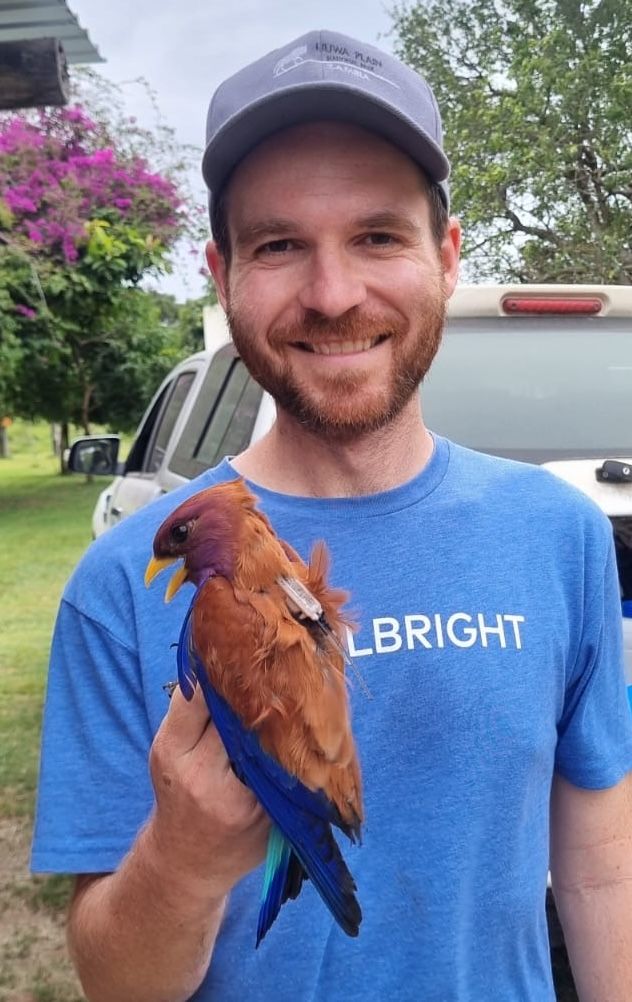 Dr Gula with the first ever tagged Broad-billed Roller before release in South Africa