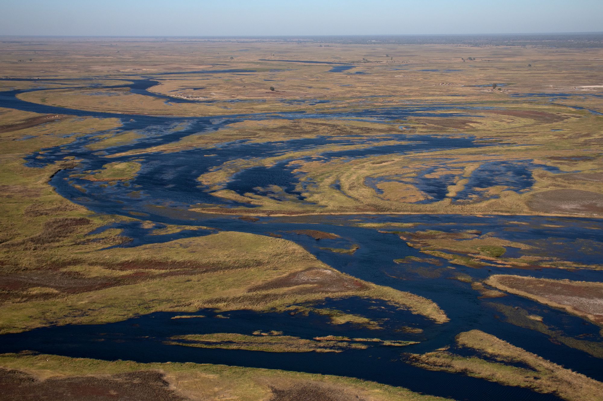 Barotse Floodplain, Zambezi River, Zambia