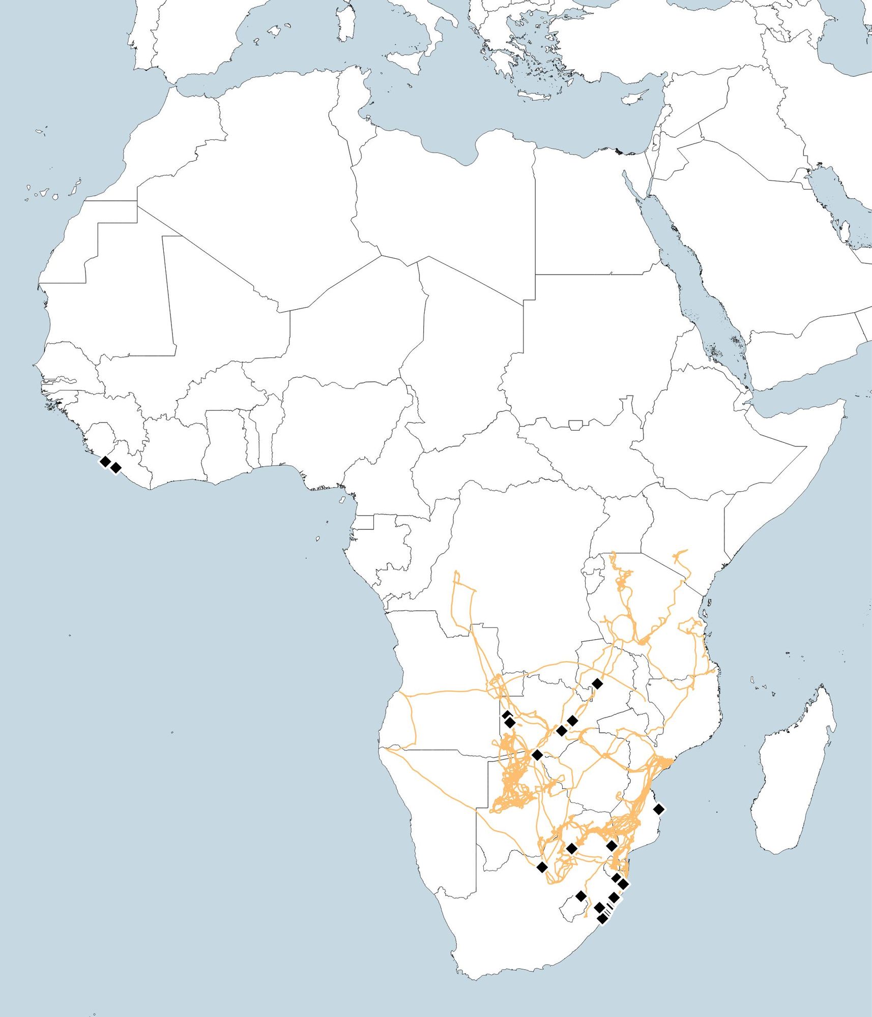 Map of Africa showing tracked bird movements as orange paths and bird ringing sites as black points